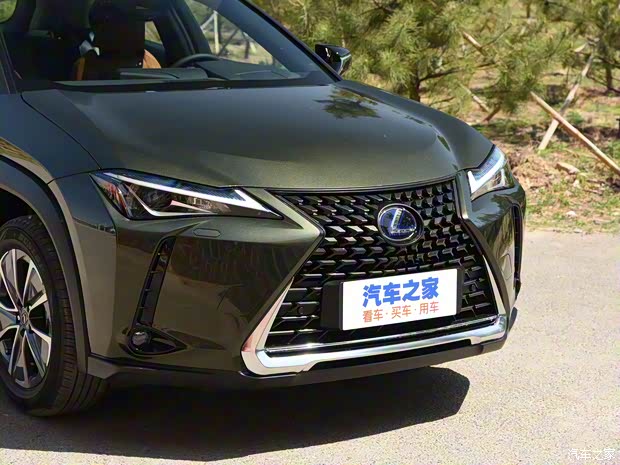 雷克萨斯 雷克萨斯UX新能源 2020款 300e