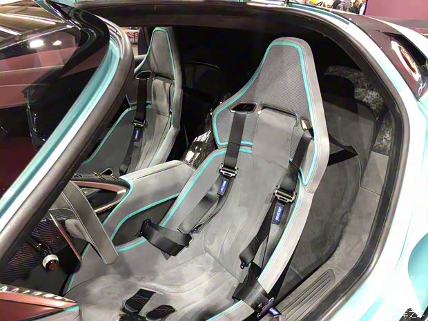 一汽紅旗 紅旗S9 2019款 Concept