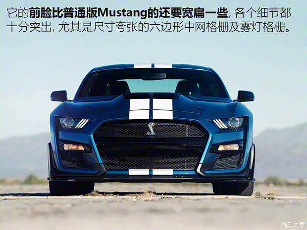 福特(進口) Mustang 2020款 Shelby GT500