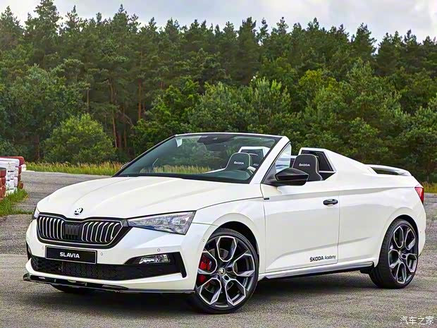 斯柯達(進口) SLAVIA 2020款 Concept