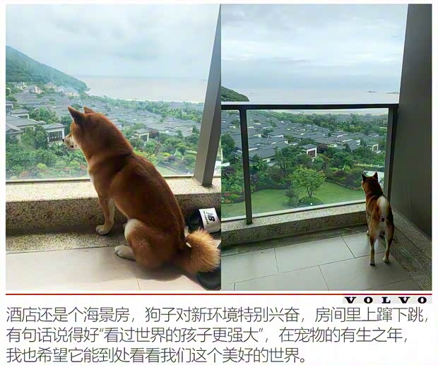 沃尔沃亚太 沃尔沃S60 2020款 T5 智雅运动版 沃尔沃亚太 沃尔沃S60 2020款 T5 智雅运动版