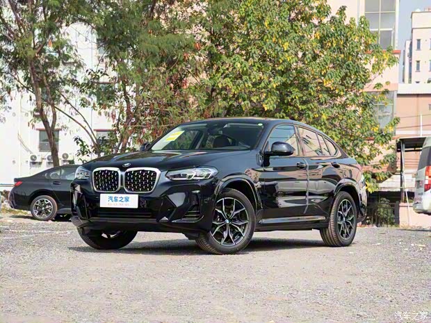 寶馬(進口) 寶馬X4 2022款 xDrive 25i M運動套裝