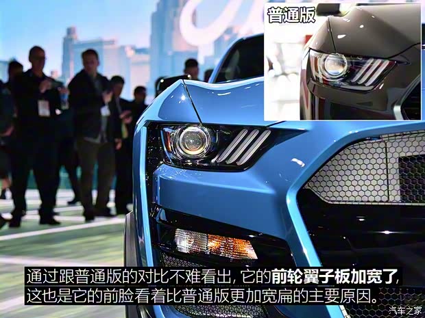 福特(進口) Mustang 2020款 Shelby GT500