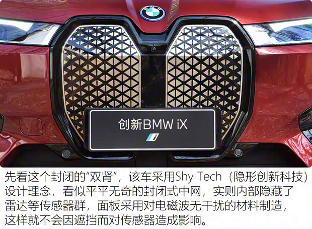 寶馬(進(jìn)口) 寶馬iX 2021款 xDrive50 運(yùn)動(dòng)版