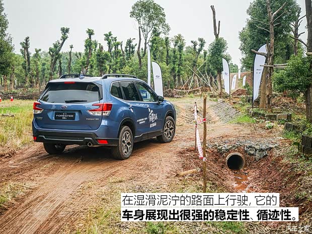 斯巴鲁 森林人 2019款 2.0i 豪华版EyeSight