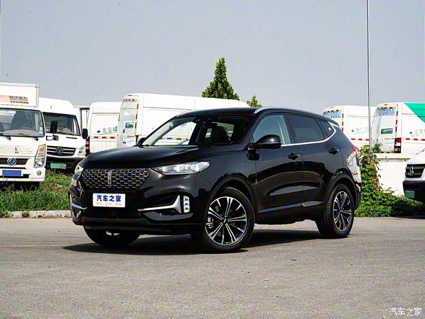 長(zhǎng)城汽車(chē) WEY VV6 2021款 2.0T 兩驅(qū)智享+