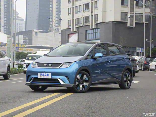 比亚迪 海豚 2021款 401km 骑士版 比亚迪 海豚 2021款 401km 骑士版