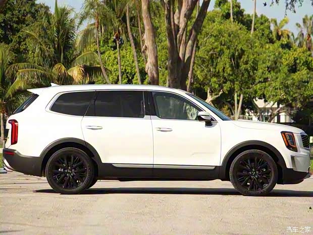 起亞(進(jìn)口) Telluride 2019款 SX V6