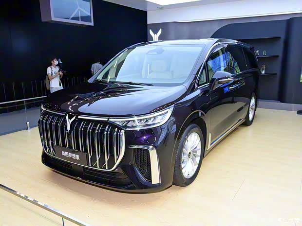 岚图汽车 梦想家 2022款 基本型 岚图汽车 梦想家 2022款 基本型