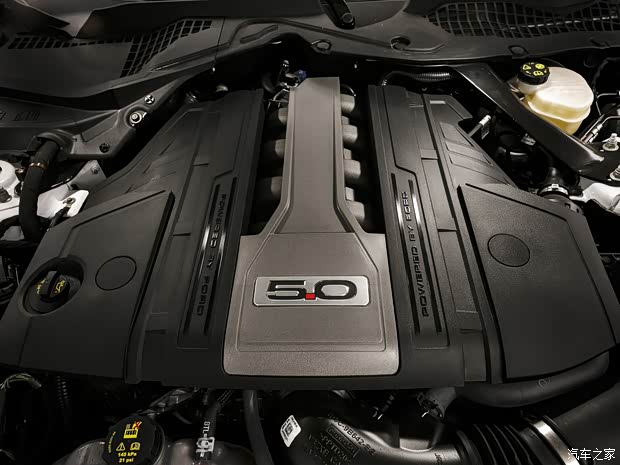 福特(进口) Mustang 2019款 GT Black Shadow Edition