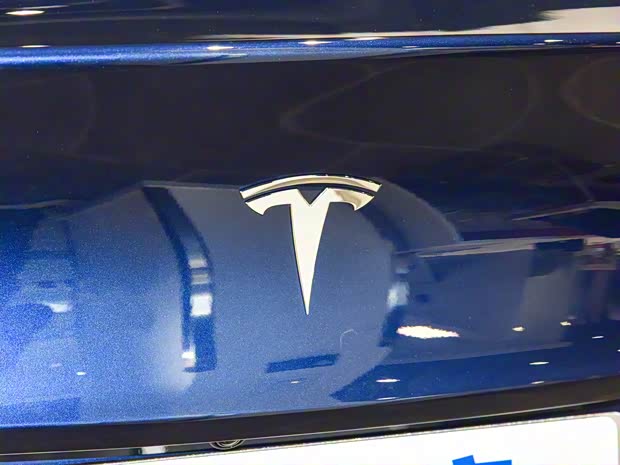 特斯拉中國 Model Y 2021款 標準續(xù)航后驅版