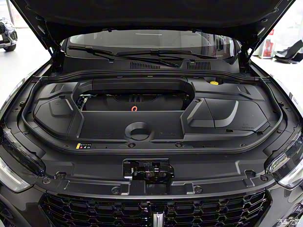 长城汽车 WEY VV5 2019款 1.5T 基本型 长城汽车 WEY VV5 2019款 1.5T 基本型