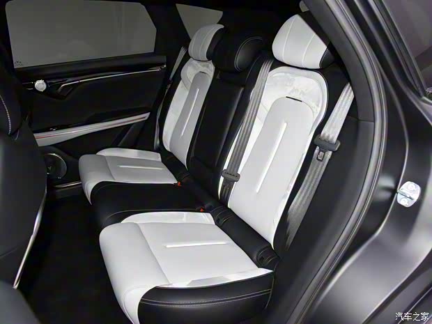 嵐圖汽車(chē) 嵐圖FREE 2022款 DNA Design 純電版