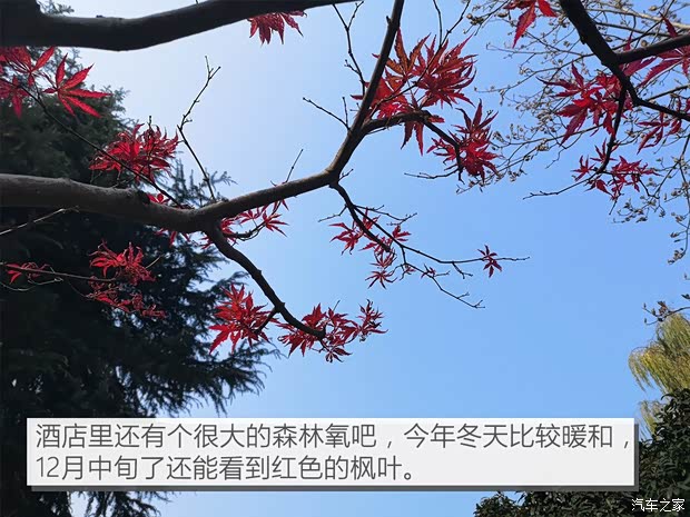 上汽大众 辉昂 2018款 改款 380TSI 两驱旗舰版