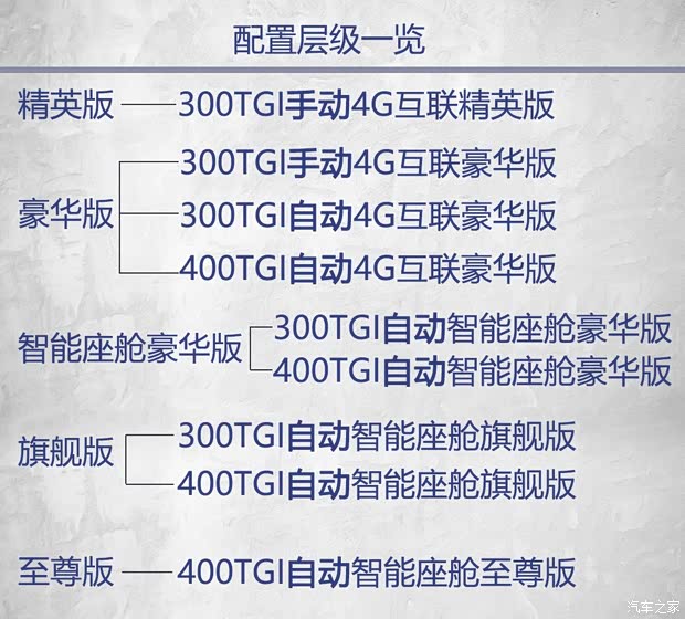 上汽集團 榮威RX5 MAX 2019款 300TGI 手動4G互聯精英版
