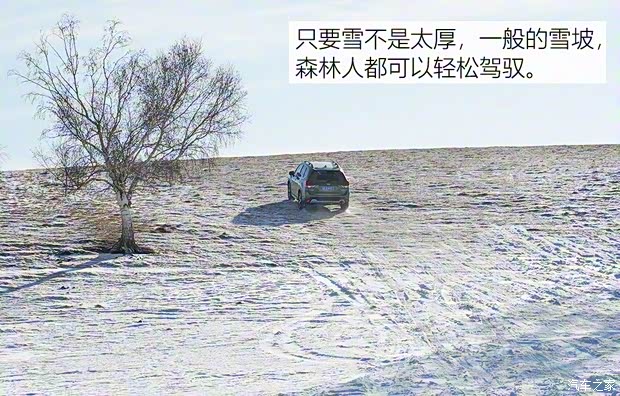 斯巴鲁 森林人 2019款 2.0i 智擎旗舰版EyeSight 斯巴鲁 森林人 2019款 2.0i 智擎旗舰版EyeSight