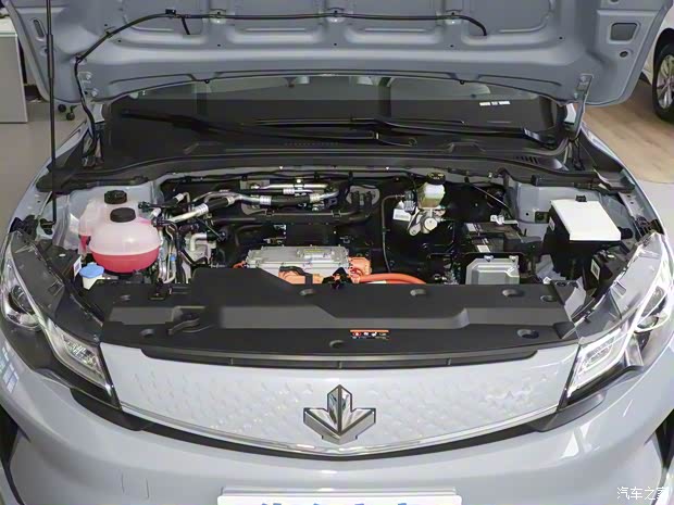 睿藍汽車 楓葉60s PRO 2023款 滿電版 磷酸鐵鋰