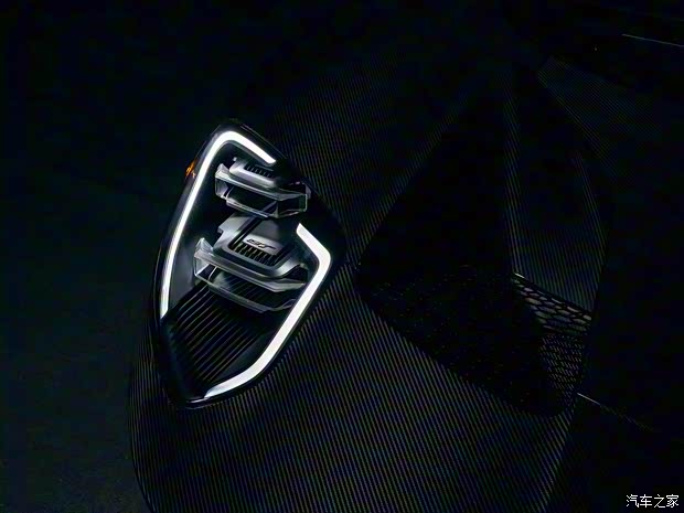 福特(進(jìn)口) 福特GT 2020款 Liquid Carbon