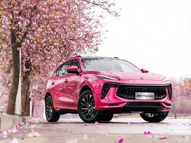 东风风行 风行T5 EVO 2021款 1.5TD DCT荣耀版 东风风行 风行T5 EVO 2021款 1.5TD DCT荣耀版