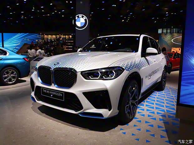 寶馬(進口) 寶馬iX5 2021款 基本型