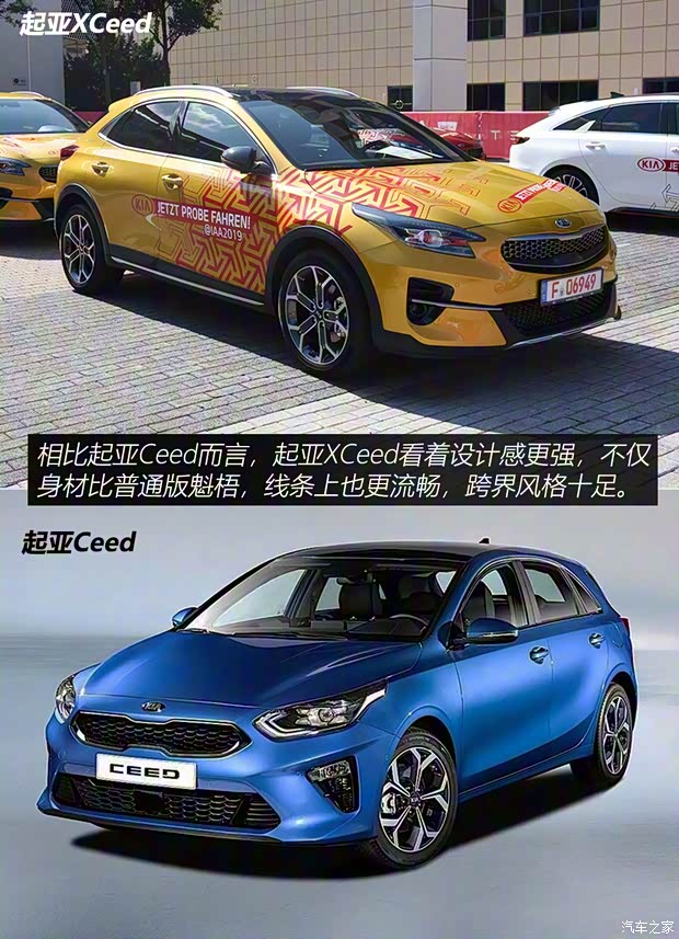 起亞(進(jìn)口) 起亞XCeed 2019款 基本型