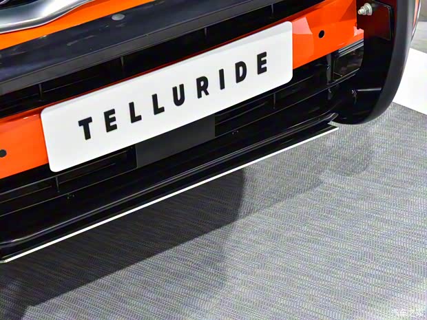 起亚(进口) Telluride 2019款 基本型