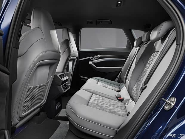 奥迪(进口) 奥迪e-tron(进口) 2021款 S