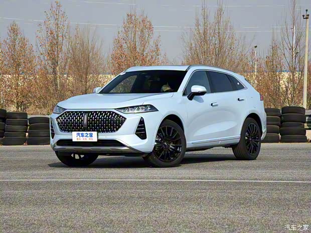 长城汽车 摩卡DHT-PHEV 2021款 DHT-PHEV 基本型 长城汽车 摩卡DHT-PHEV 2021款 DHT-PHEV 基本型