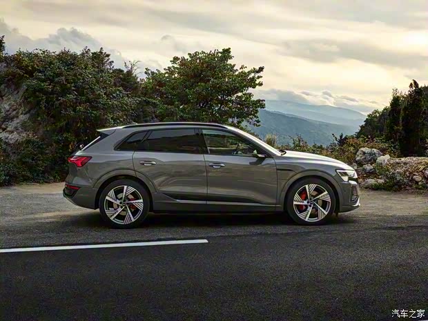 奧迪(進(jìn)口) 奧迪Q8 e-tron 2023款 基本型