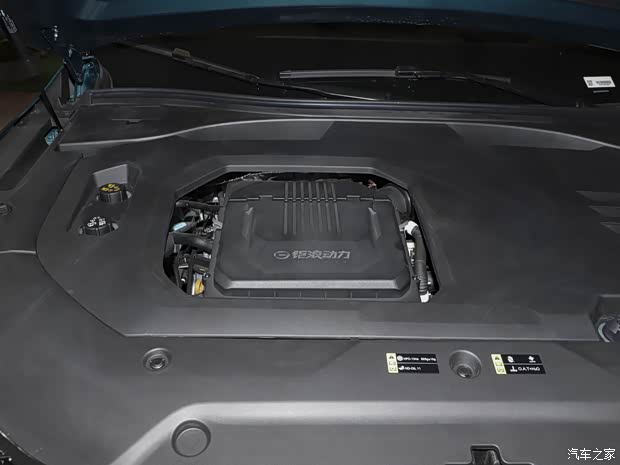 廣汽乘用車 傳祺GS8 2022款 雙擎系列 2.0TM 兩驅(qū)尊貴版 （六座）