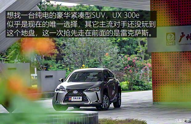 雷克萨斯 雷克萨斯UX新能源 2020款 300e 纯·享版 雷克萨斯 雷克萨斯UX新能源 2020款 300e 纯·享版