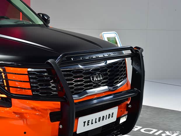起亚(进口) Telluride 2019款 基本型