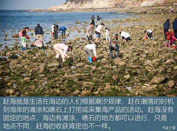 一汽红旗 红旗HS5 2019款 2.0T 智联旗享四驱版