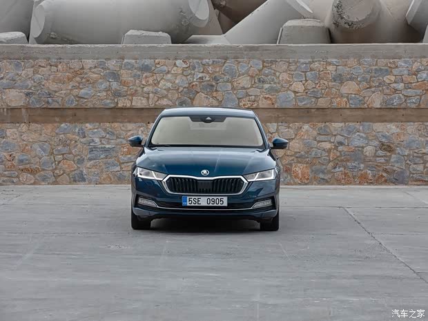 斯柯达(进口) 明锐(进口) 2020款 基本型