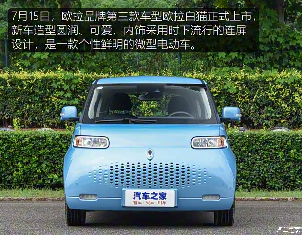 長(zhǎng)城汽車 歐拉白貓 2020款 401km 旗艦型