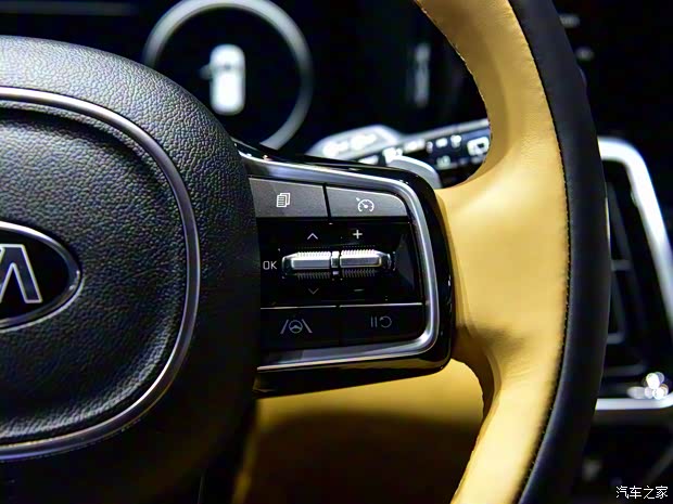 起亚(进口) 索兰托 2021款 基本型