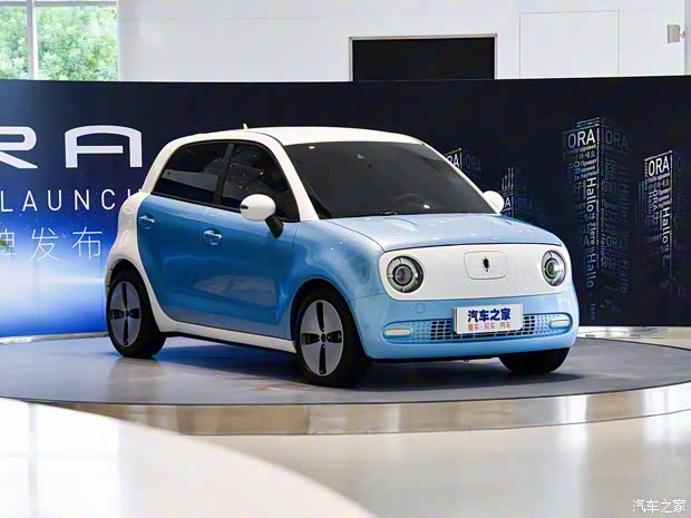 長(zhǎng)城汽車 歐拉R1 2019款 入門版