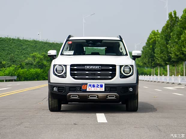 长城汽车 哈弗大狗 2020款 1.5T 基本型 长城汽车 哈弗大狗 2020款 1.5T 基本型