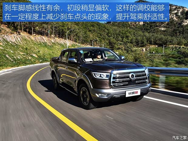 长城汽车 炮 2019款 2.0T四驱尊享版小双GW4C20B