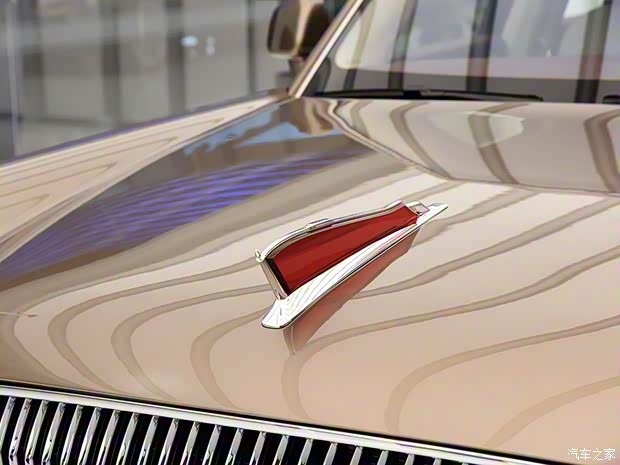 一汽红旗 红旗L5 2019款 双色定制版 一汽红旗 红旗L5 2019款 双色定制版