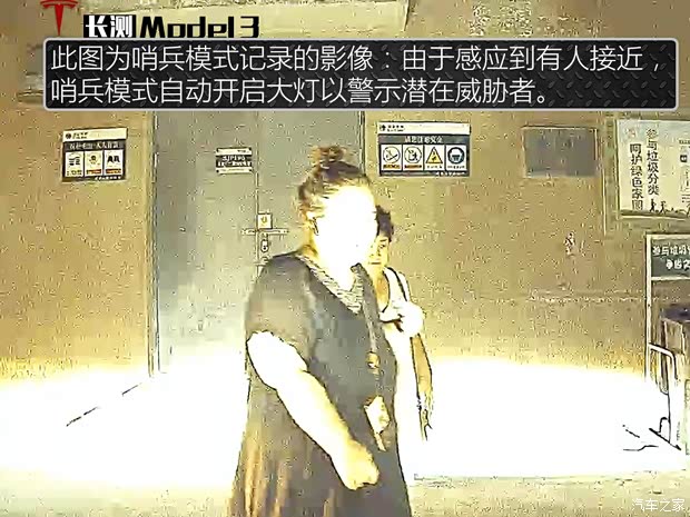 特斯拉（进口） Model 3(进口) 2019款 长续航后驱版