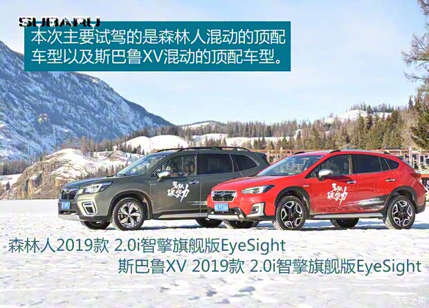 斯巴鲁 森林人 2019款 2.0i 智擎旗舰版EyeSight 斯巴鲁 森林人 2019款 2.0i 智擎旗舰版EyeSight