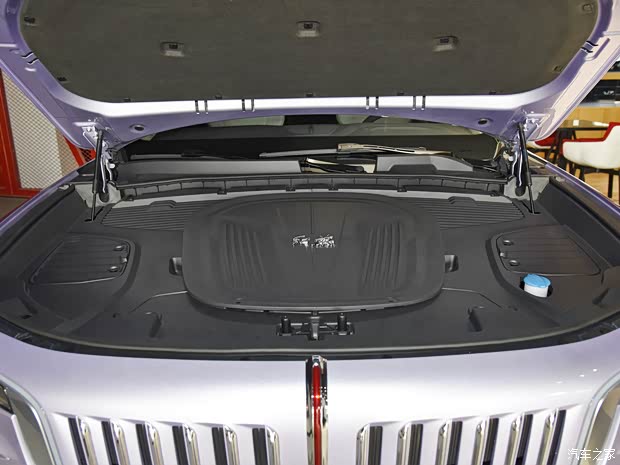 一汽红旗 红旗E-HS9 2021款 高配版