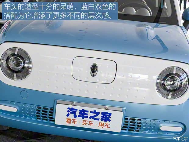 长城汽车 欧拉R1 2019款 351km 灵趣版