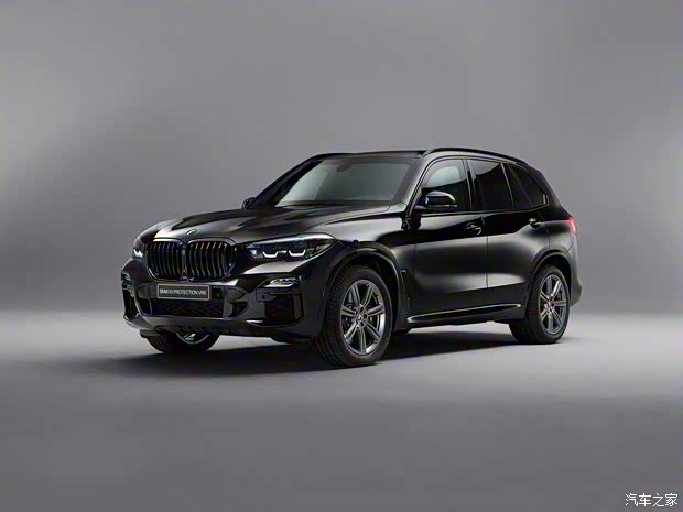 宝马(进口) 宝马X5 2019款 Protection VR6