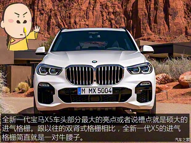 寶馬(進(jìn)口) 寶馬X5 2019款 xDrive30d