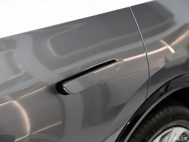 一汽红旗 红旗E-HS9 2020款 基本型