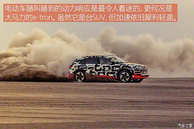 奥迪(进口) 奥迪e-tron 2018款 Prototype