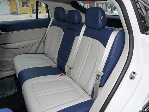 上汽集团 鲸 2022款 2.0T 虎鲸版