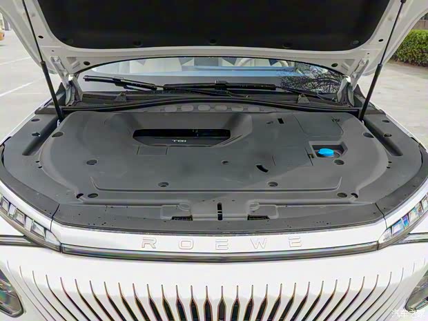 上汽集团 鲸 2022款 2.0T 虎鲸版